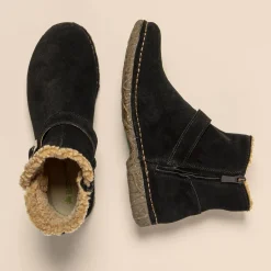 5473 Angkor|El Naturalista Online