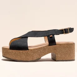 5893 Arbequina|El Naturalista Online