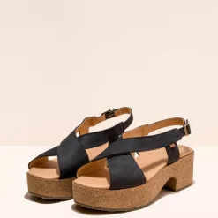 5893 Arbequina|El Naturalista Online