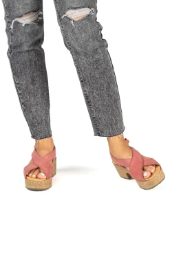 5893 Arbequina|El Naturalista Online