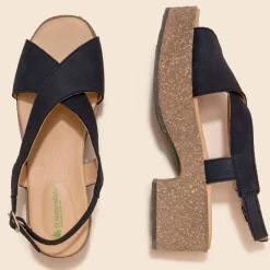 5893 Arbequina|El Naturalista Online