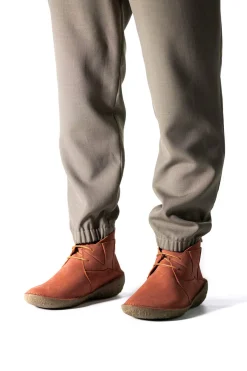 5730 Borago|El Naturalista Cheap