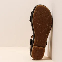 5880 Bosana|El Naturalista Cheap