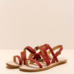 5711 Coratina|El Naturalista Outlet