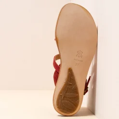 5711 Coratina|El Naturalista Outlet