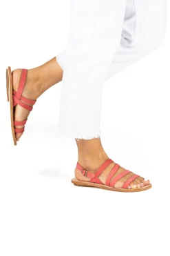 5711 Coratina|El Naturalista Outlet