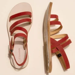 5711 Coratina|El Naturalista Outlet