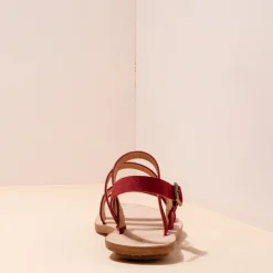 5711 Coratina|El Naturalista Outlet