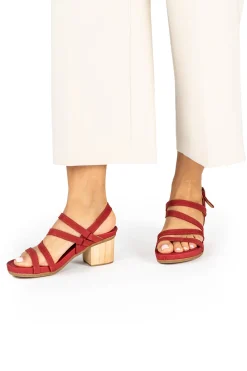 5565 Deba|El Naturalista Online