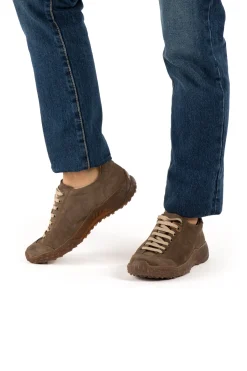 5622 Gorbea|El Naturalista Cheap