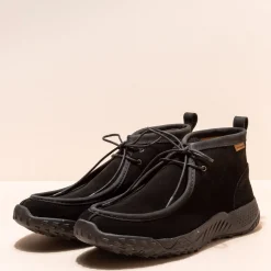 5623 Gorbea|El Naturalista New