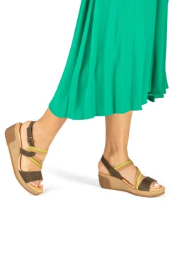 5019 Leaves|El Naturalista Online