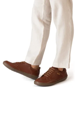 5751 Meteo|El Naturalista Cheap