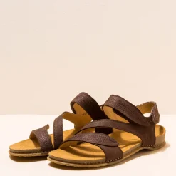 5810 Panglao|El Naturalista Sale