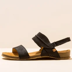 5814 Panglao|El Naturalista Online