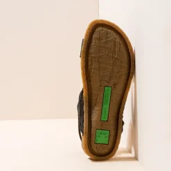 5814 Panglao|El Naturalista Online