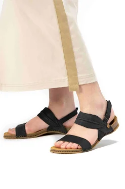 5814 Panglao|El Naturalista Online