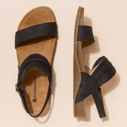 5814 Panglao|El Naturalista Online