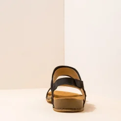 5814 Panglao|El Naturalista Online