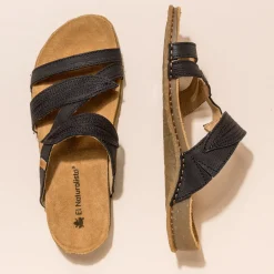 5812 Panglao|El Naturalista Best