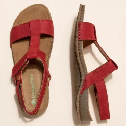 5816 Panglao|El Naturalista Store