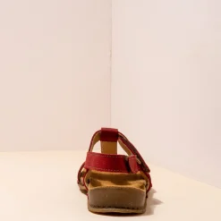 5816 Panglao|El Naturalista Store