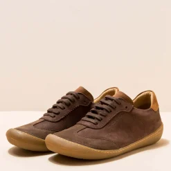 5766 Pawikan|El Naturalista Clearance