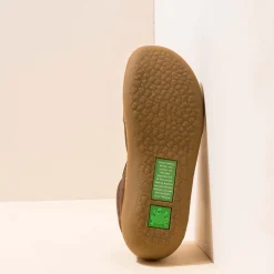 5766 Pawikan|El Naturalista Clearance