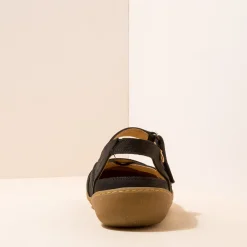 5776 Pawikan|El Naturalista Flash Sale