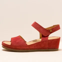 5851 Picual|El Naturalista Discount