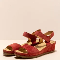 5851 Picual|El Naturalista Discount