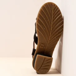 5800 Sabal|El Naturalista Clearance