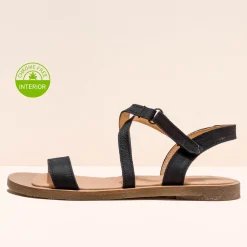 5196 Tulip|El Naturalista Store