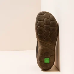 5083 Turtle|El Naturalista Online