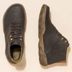 5083 Turtle|El Naturalista Online