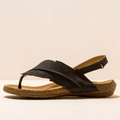 5078 Wakataua|El Naturalista Online