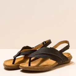 5078 Wakataua|El Naturalista Online