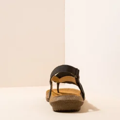 5078 Wakataua|El Naturalista Online