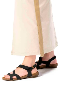 5079 Wakataua|El Naturalista Store