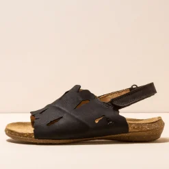 5068 Wakataua|El Naturalista Hot