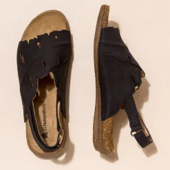 5068 Wakataua|El Naturalista Hot