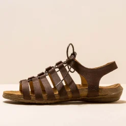 5069 Wakataua|El Naturalista New