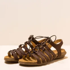 5069 Wakataua|El Naturalista New