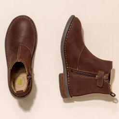 E878 Mojave|El Naturalista Best