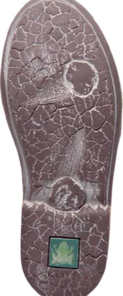 E878 Mojave|El Naturalista Best