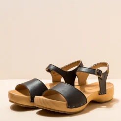 5831T Shokunin|El Naturalista Best